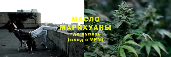 сатива Верея