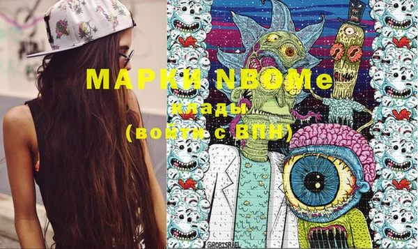 сатива Верея
