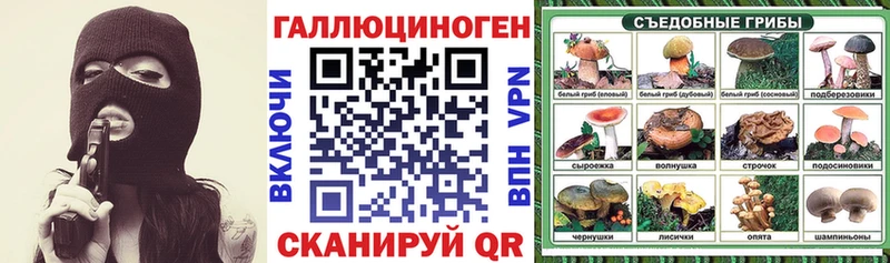 это официальный сайт  Гай  Псилоцибиновые грибы Psilocybe 