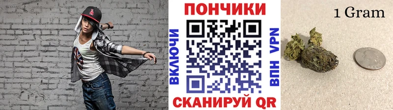 Бошки Шишки SATIVA & INDICA  сайты даркнета телеграм  Гай 